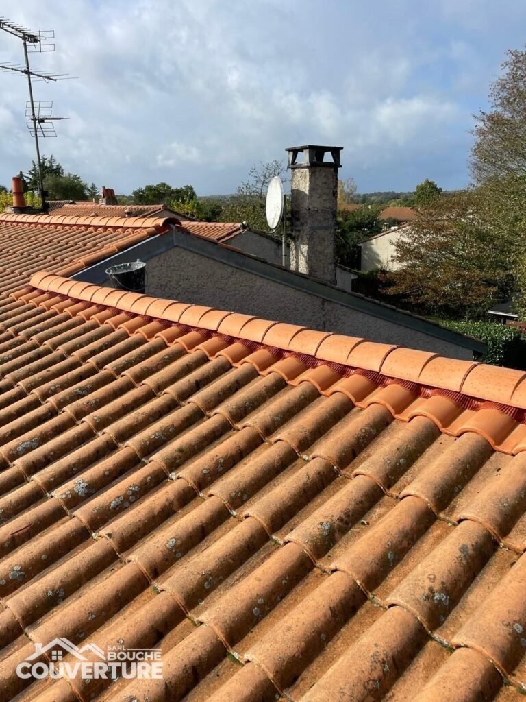 Couverture, Remplacement tuiles, Réfection faîtage